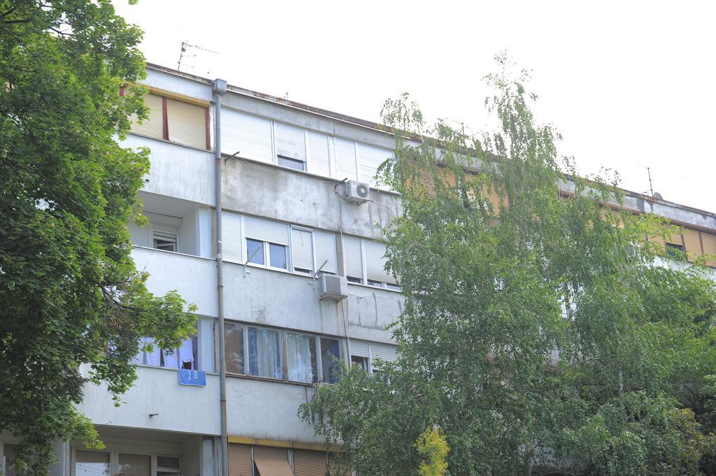 Apartment Daca Stan Beograd Eksteriør billede