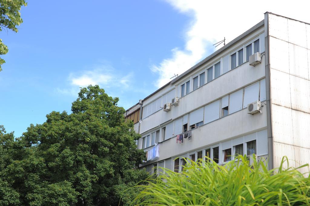 Apartment Daca Stan Beograd Eksteriør billede